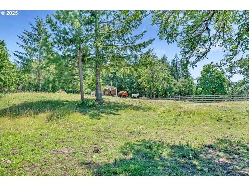 Pasture