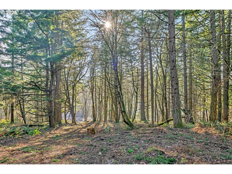 Acreage