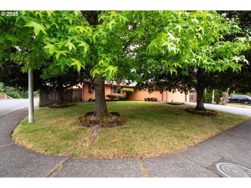 Front Yard