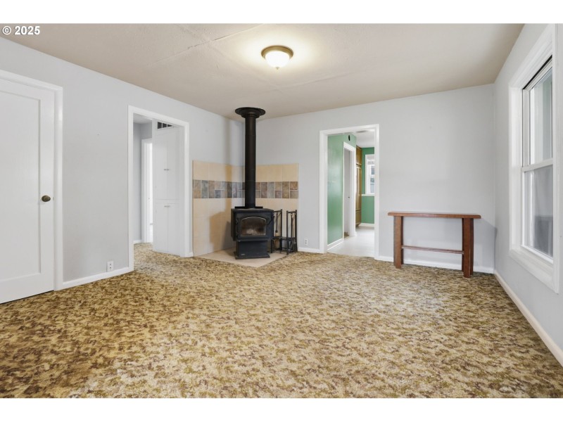 Fireplace Wood Burning Stove/Insert