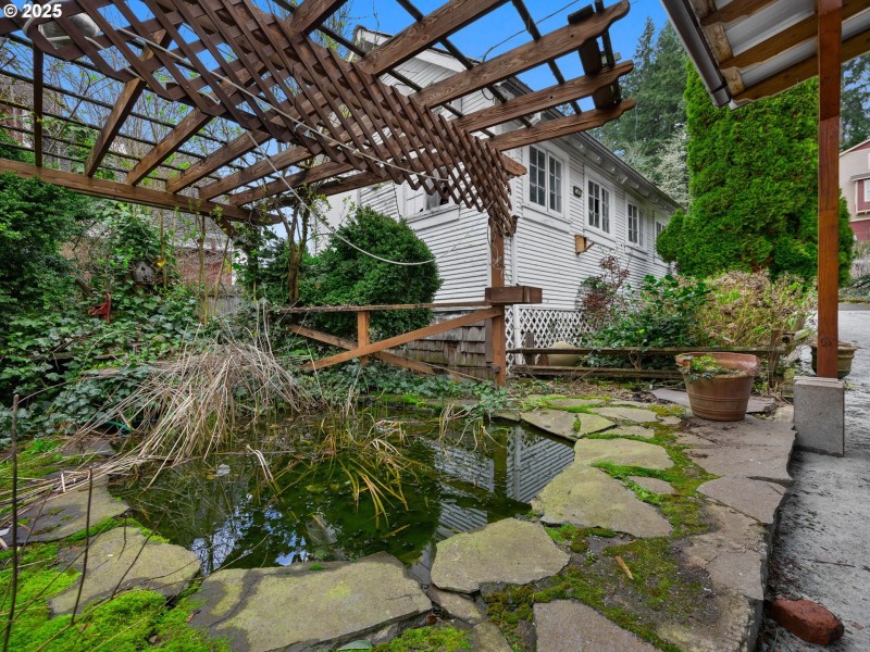 Pond