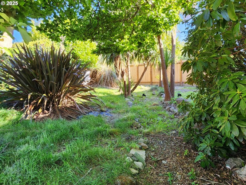 Front Yard