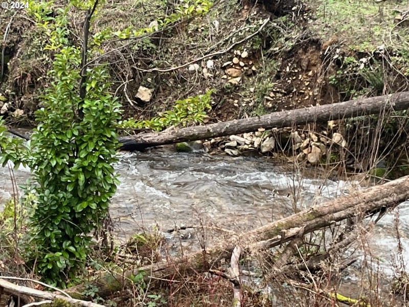 Creek