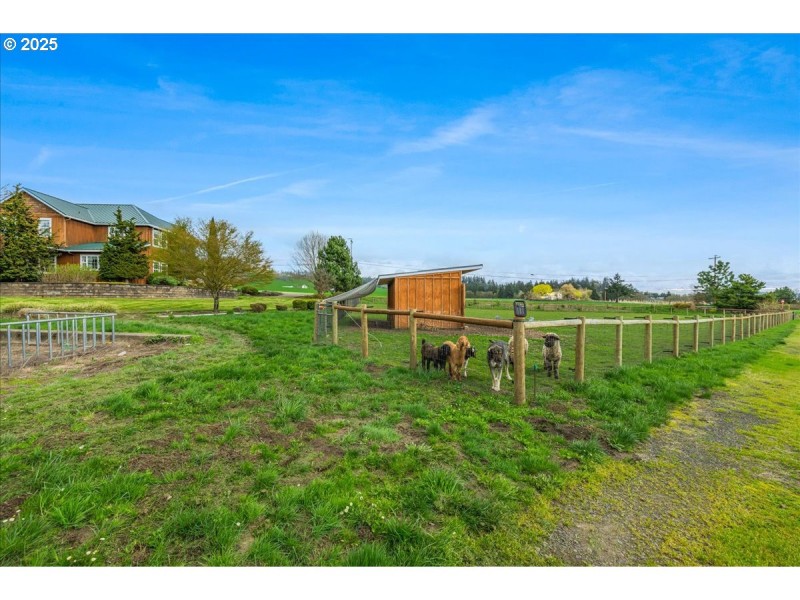Pasture