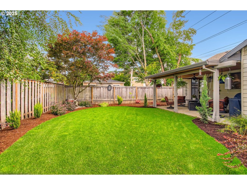 Yard