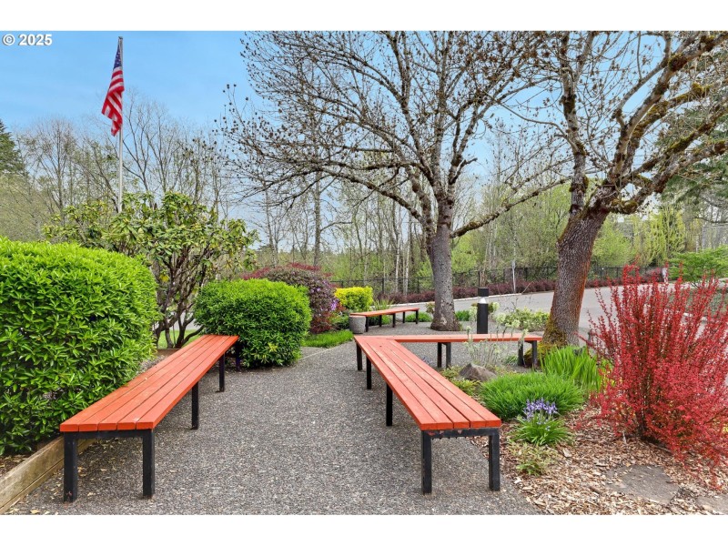 Community Park