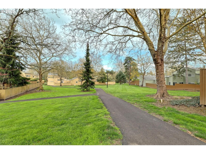 Community Park