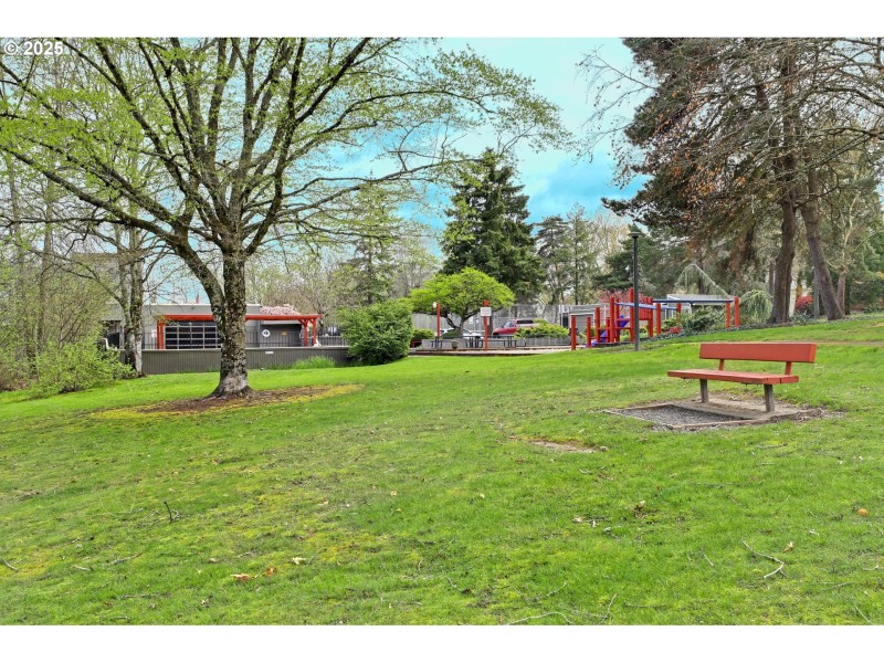 Community Park