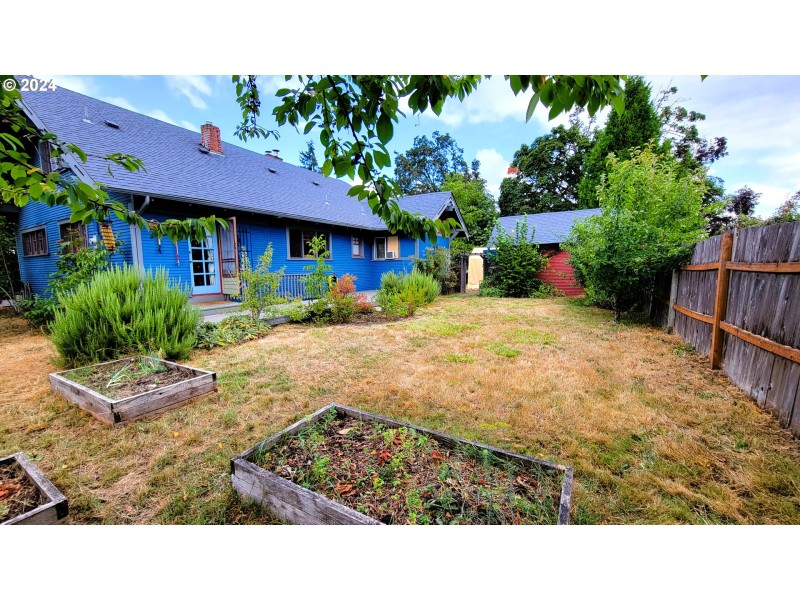 Backyard