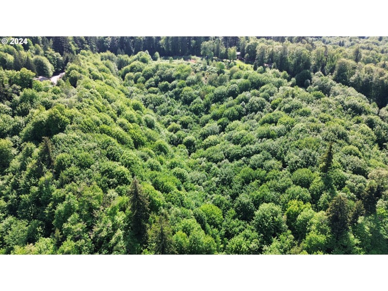 Drone View/UAV