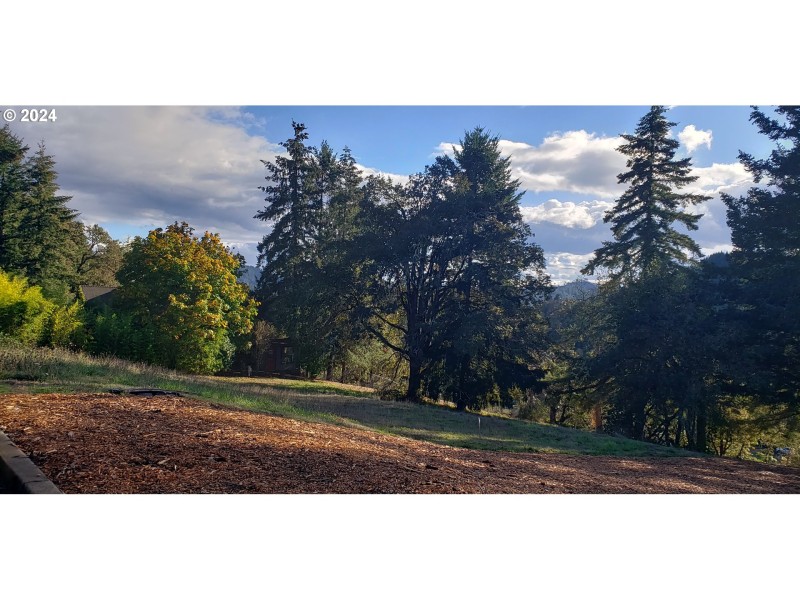 Home Site