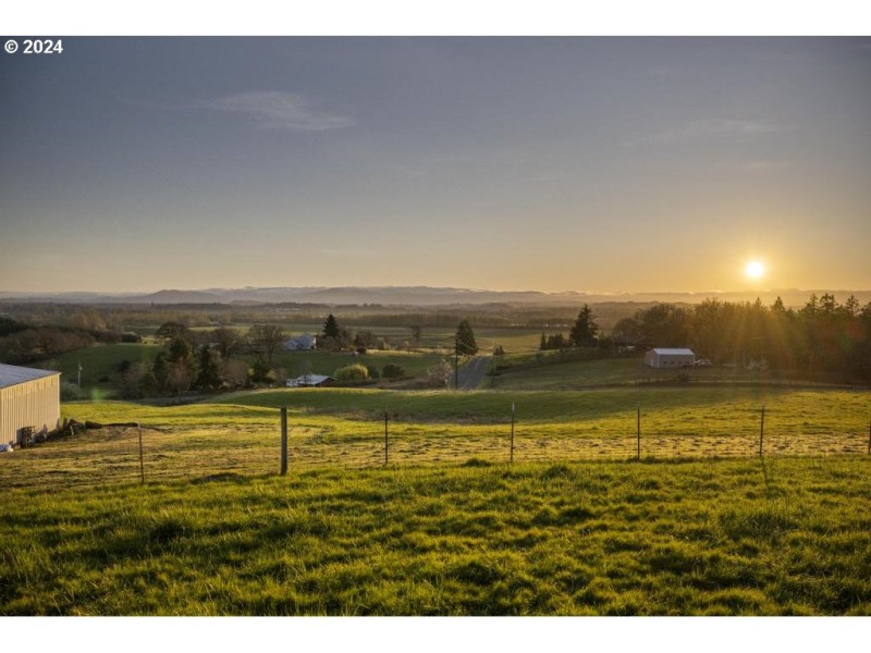 Pasture