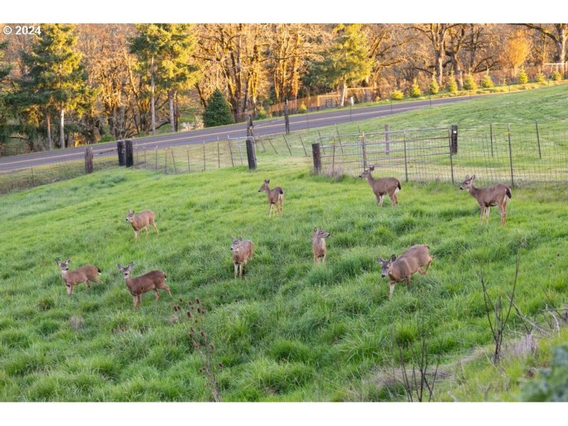 Acreage