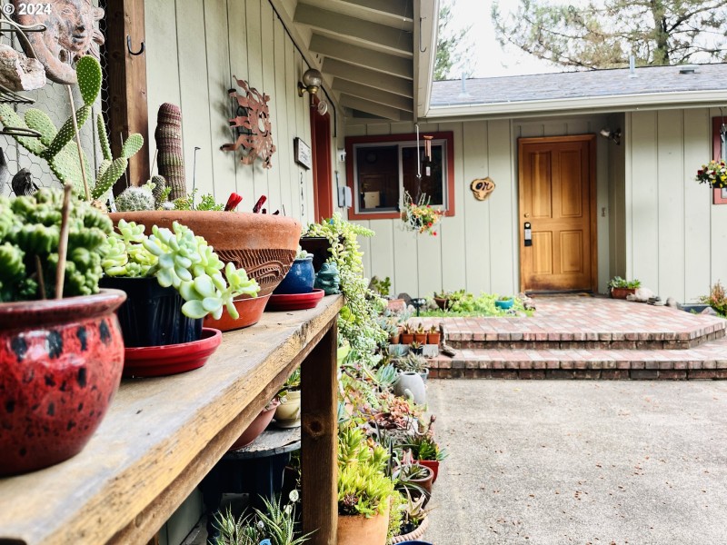 Front Yard