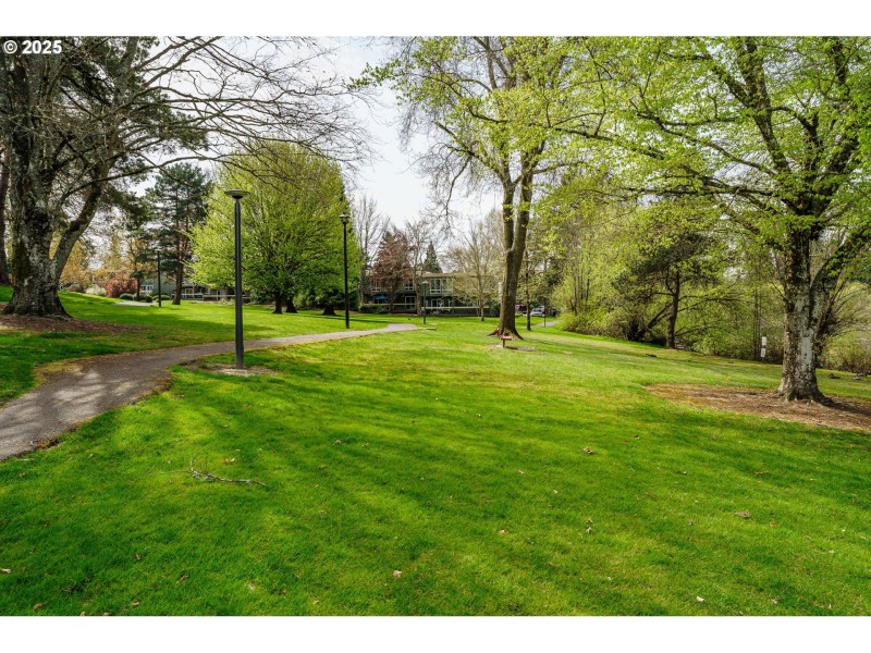 Community Amenities