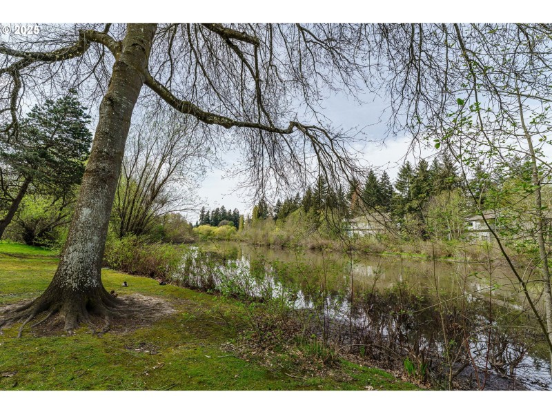 Community Amenities