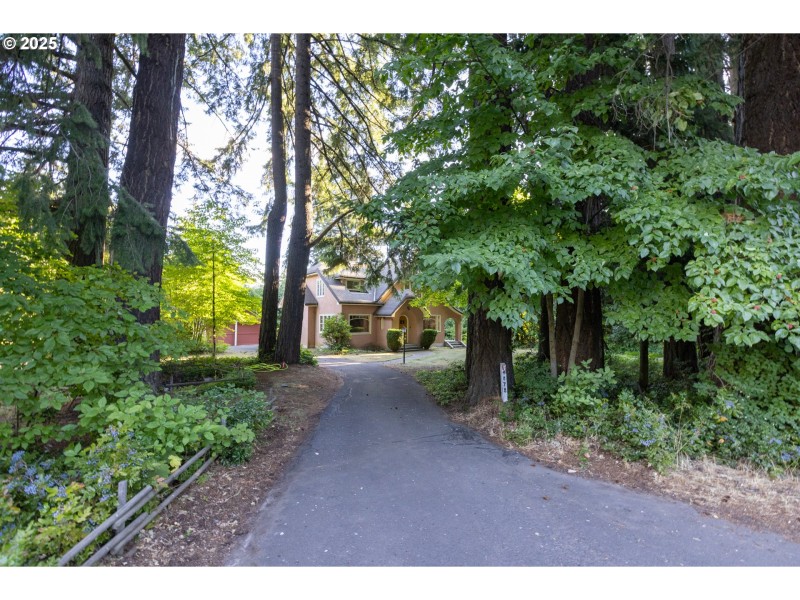 Driveway