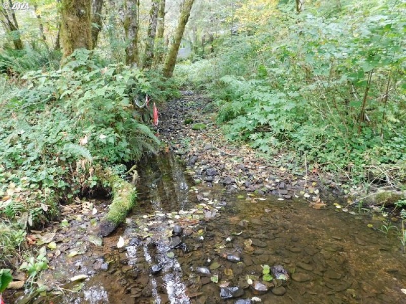 Creek