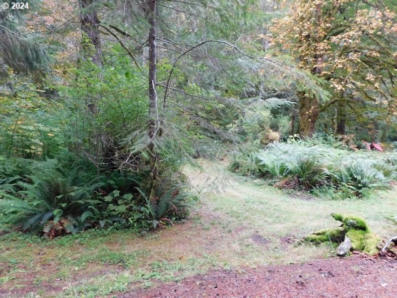 Home Site