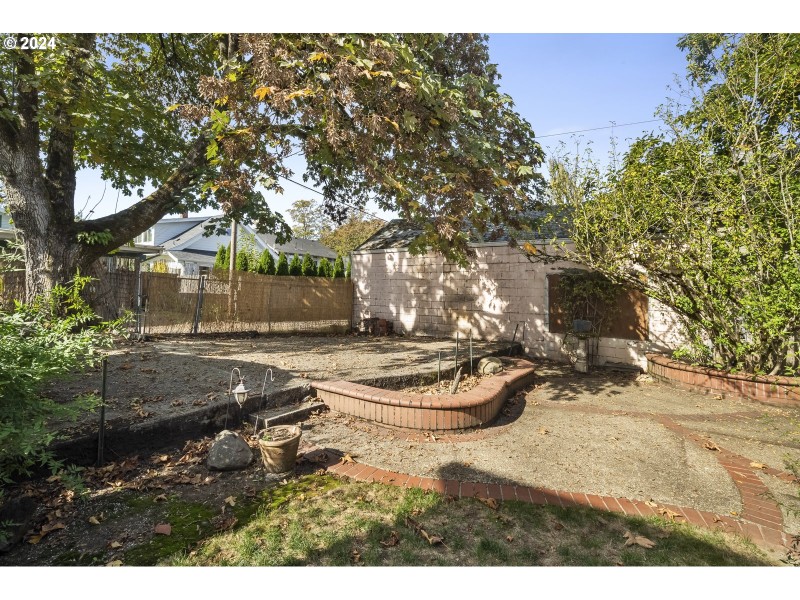 Backyard