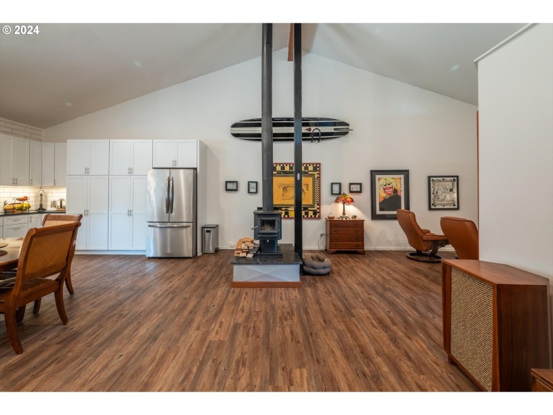 Fireplace Wood Burning Stove/Insert