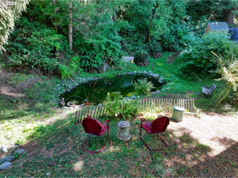 Pond