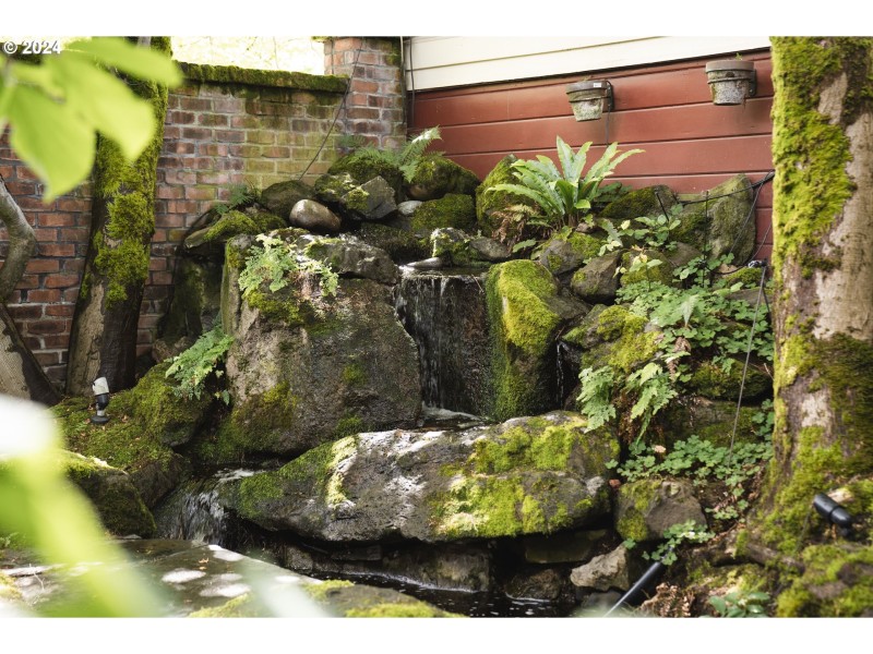 Water Feature