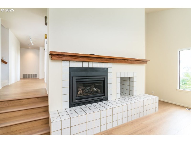 Fireplace Gas