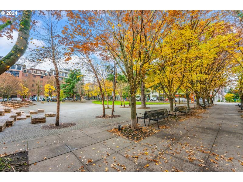 Neighborhood Park