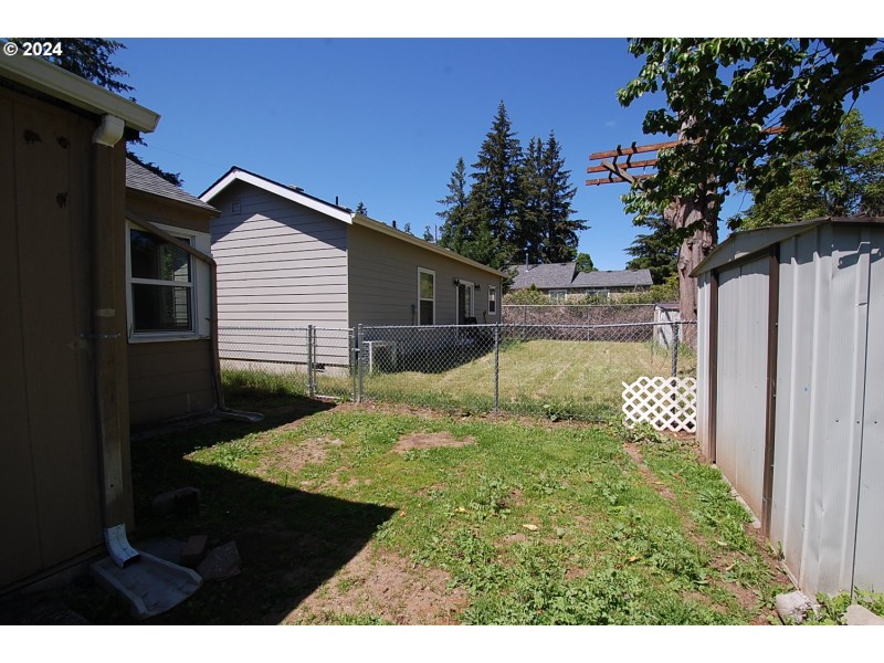 Backyard