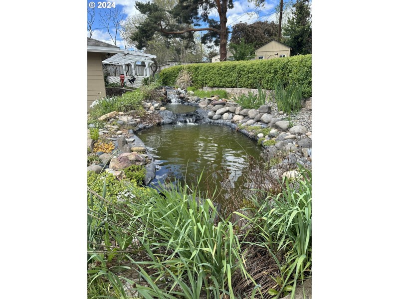 Water Feature