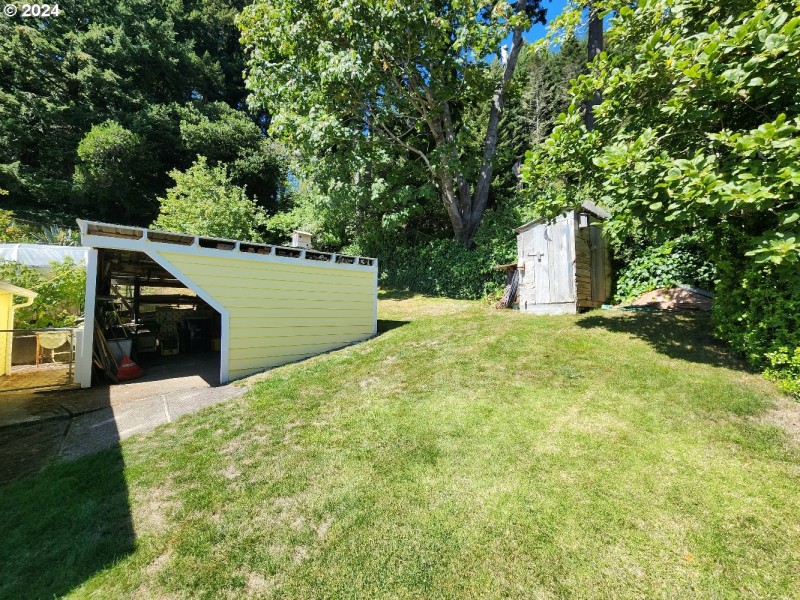 Shed