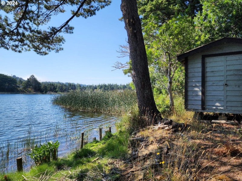 Shed