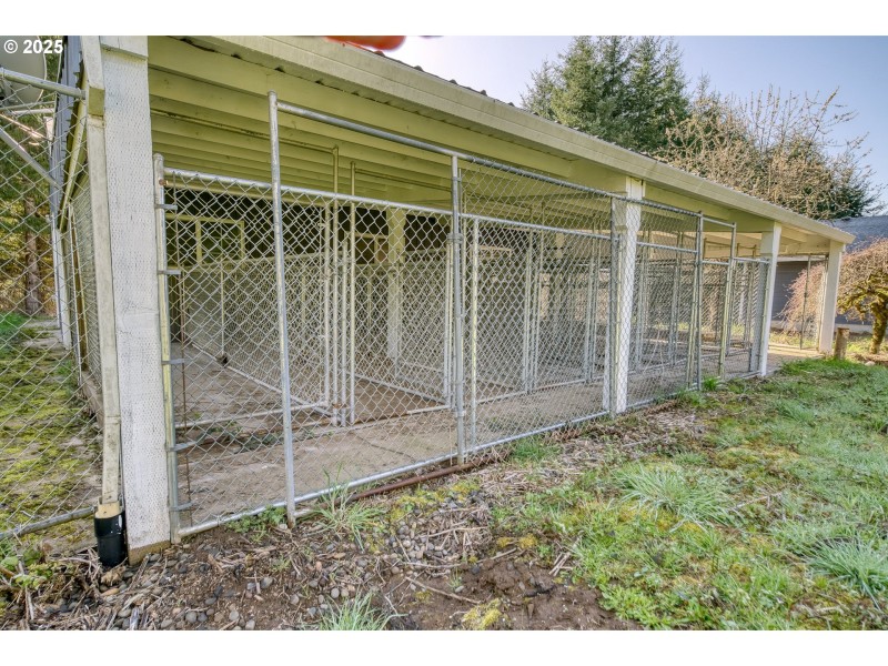 Dog Run