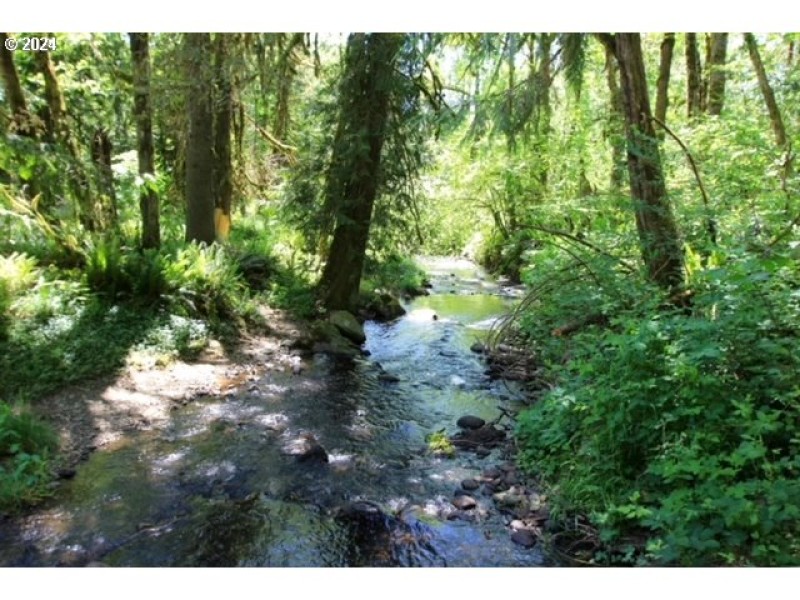Creek