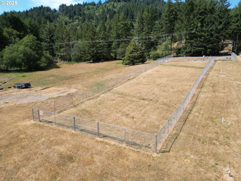 Dog Run