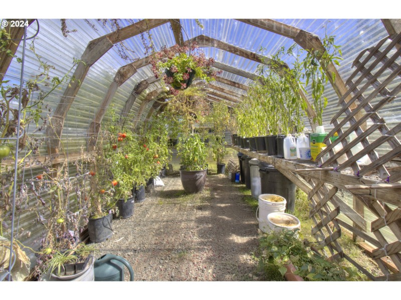 Greenhouse
