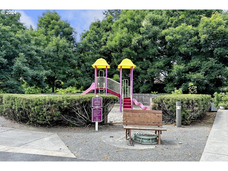 Community Playground