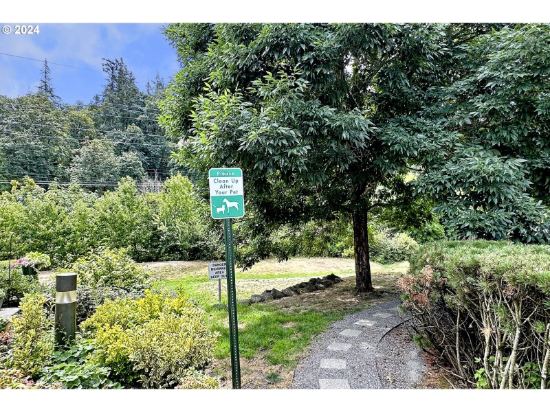 Dog Run