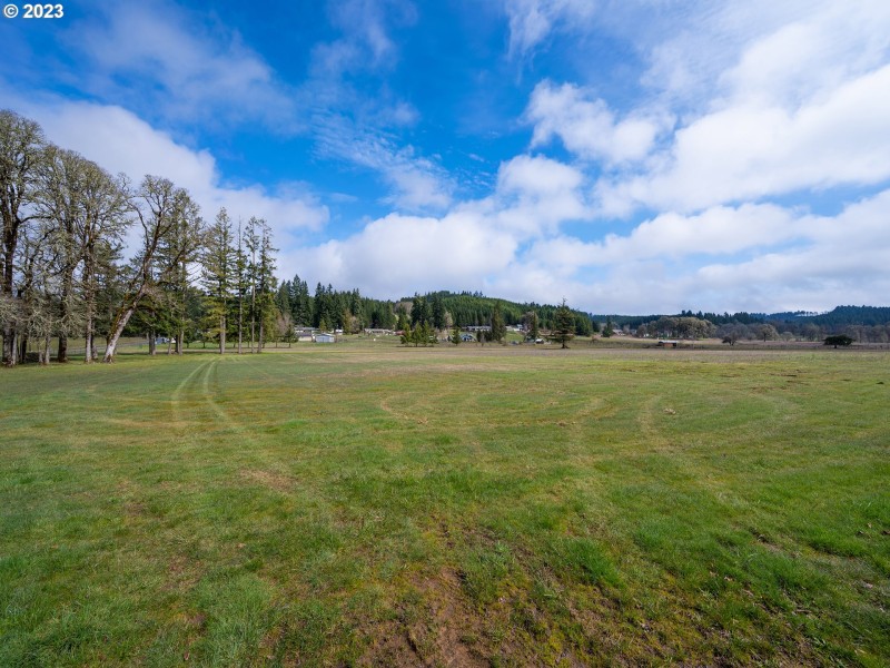 Pasture