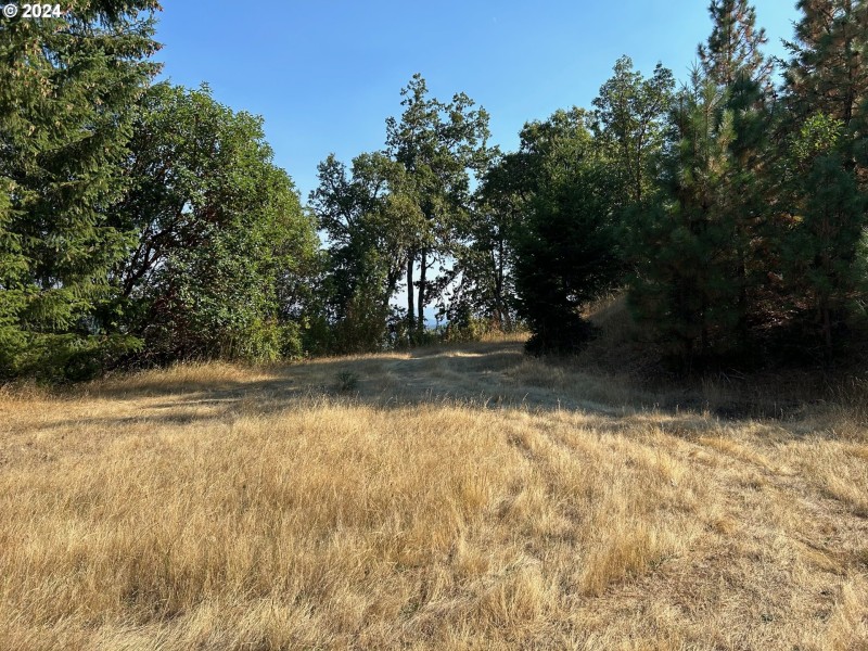 Home Site