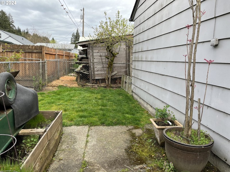 Backyard