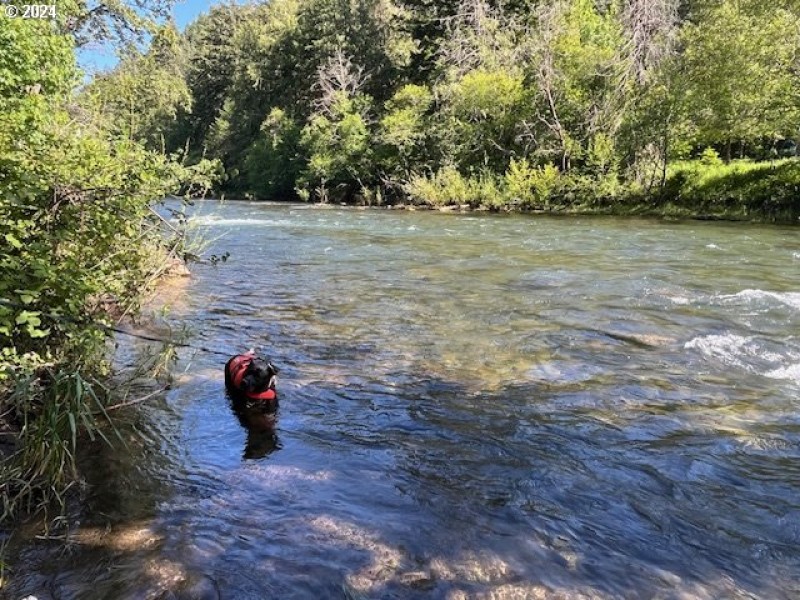 River Access
