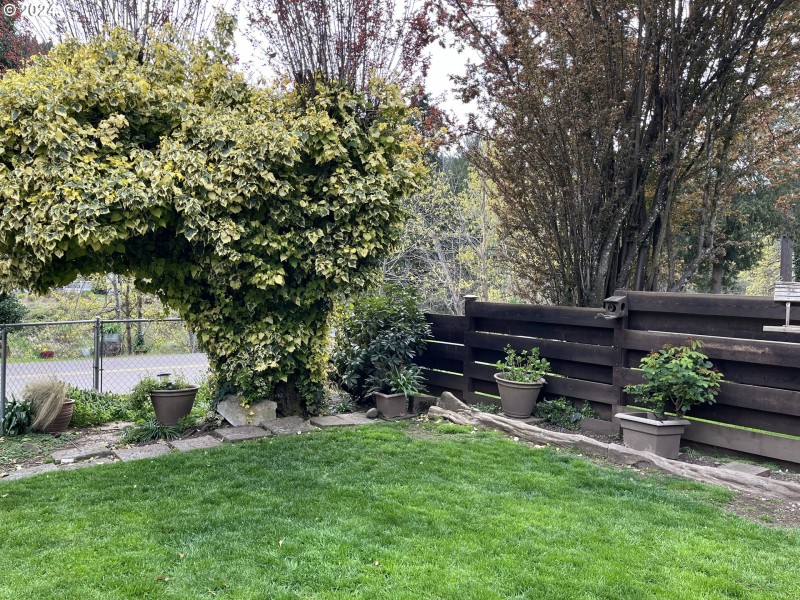 Front Yard