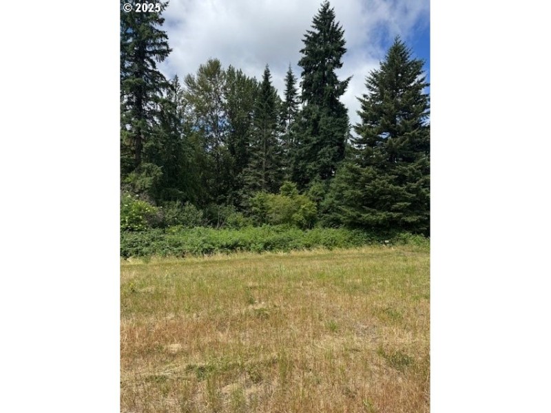 Green Space