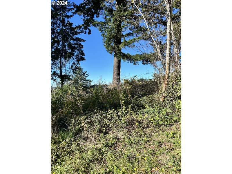 Drain Field Site