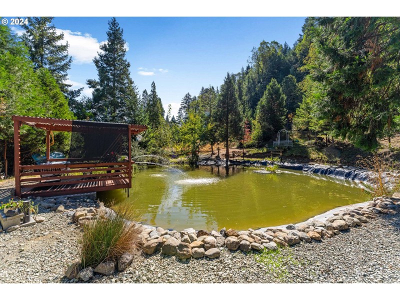 Pond