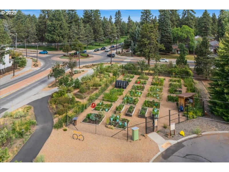 Community Garden