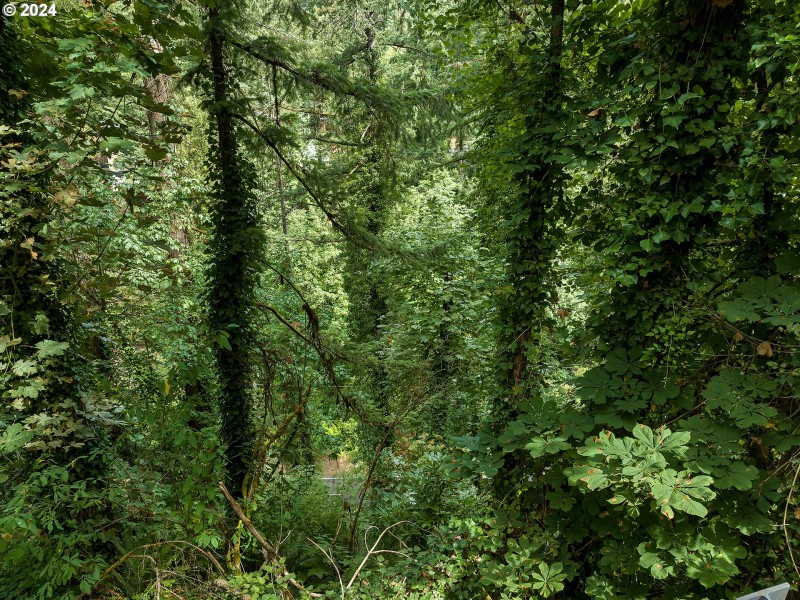 Green Space