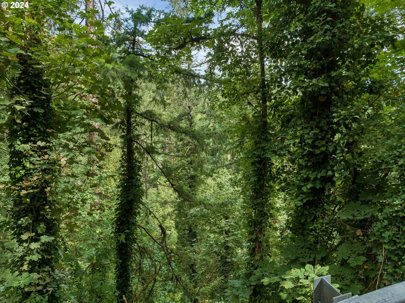 Green Space